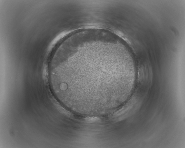 X0000112881454200910021344