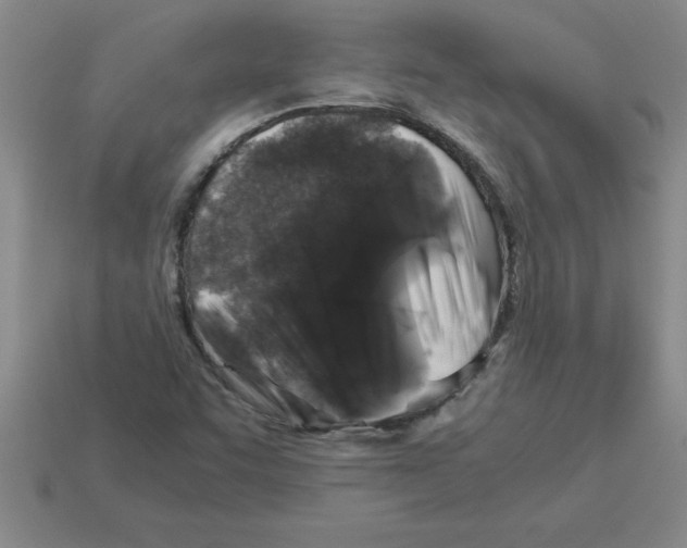 X0000112881455200910021344