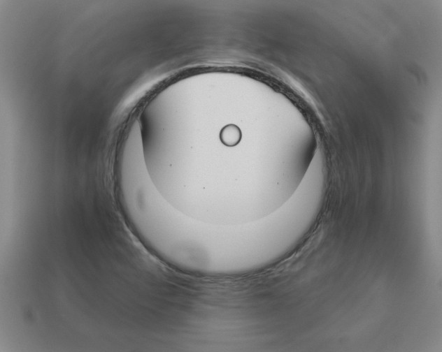 X0000112881456200910021344