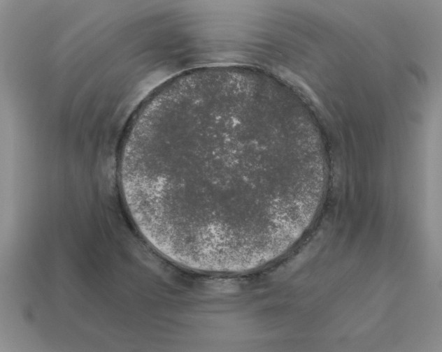 X0000112881457200910021344