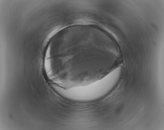 X0000112881459200910021344