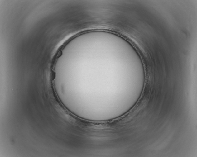 X0000112881460200910021343