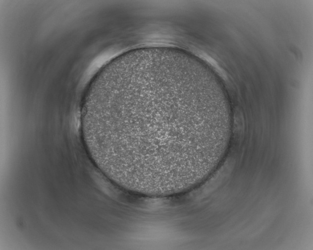 X0000112881461200910021343