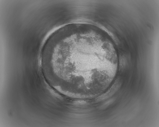 X0000112881462200910021343