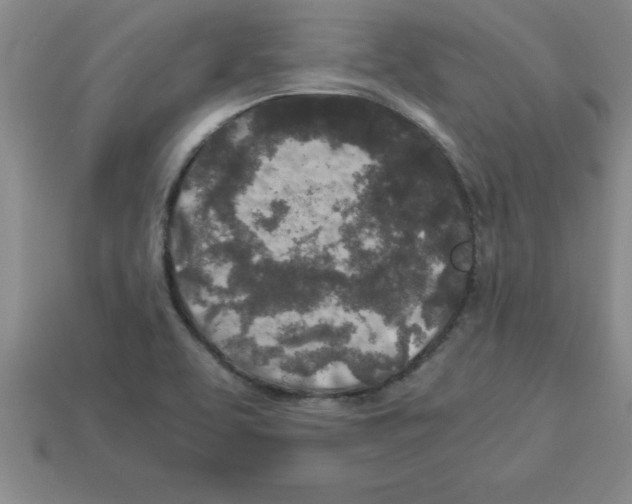 X0000112881463200910021343