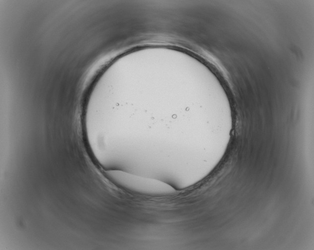 X0000112881464200910021343