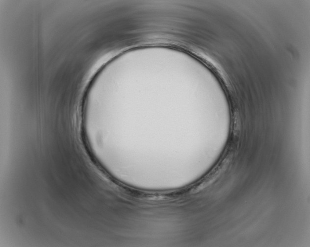 X0000112881467200910021343