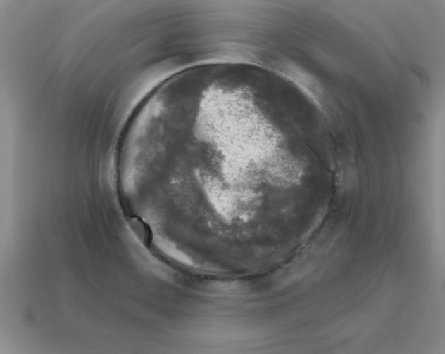 X0000112881468200910021343