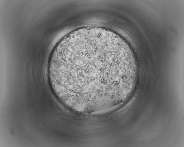 X0000112881469200910021343