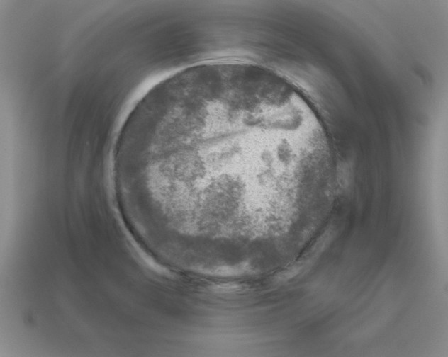 X0000112881470200910021343