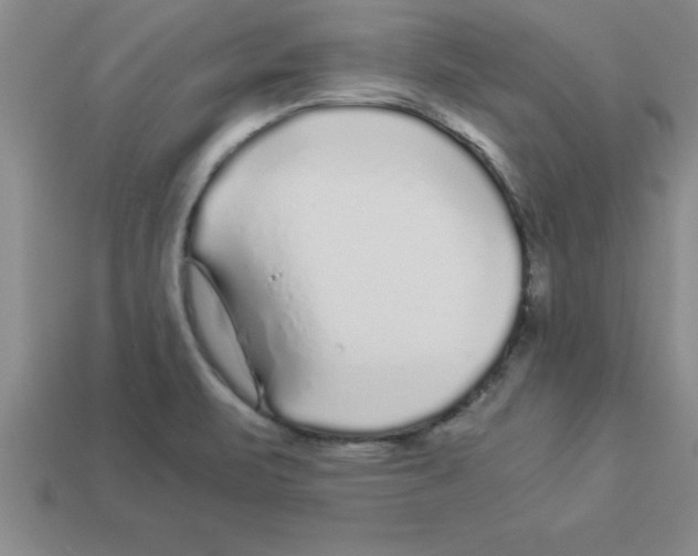 X0000112881471200910021343