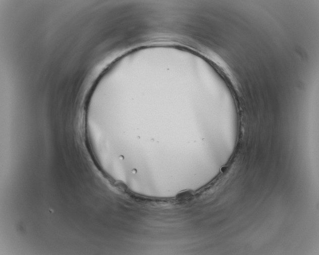 X0000112881472200910021343