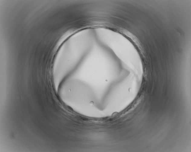 X0000112881473200910021343