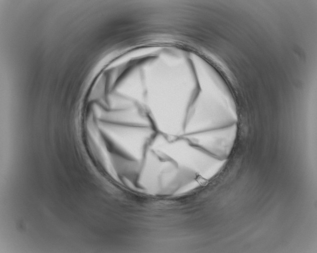 X0000112881475200910021343