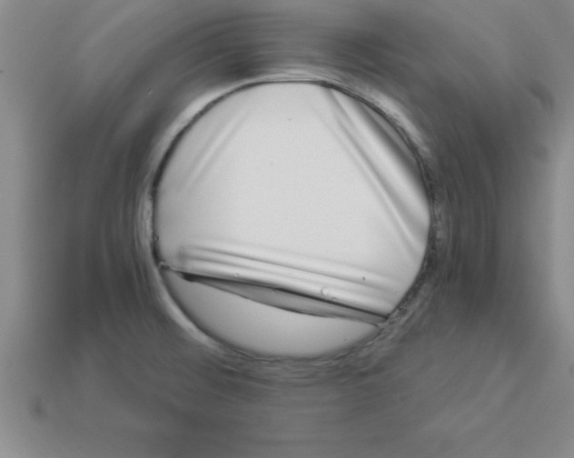 X0000112881476200910021343