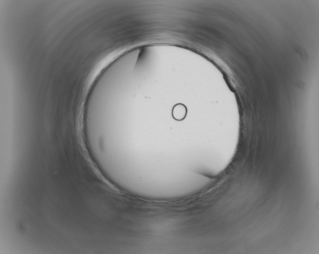 X0000112881477200910021343