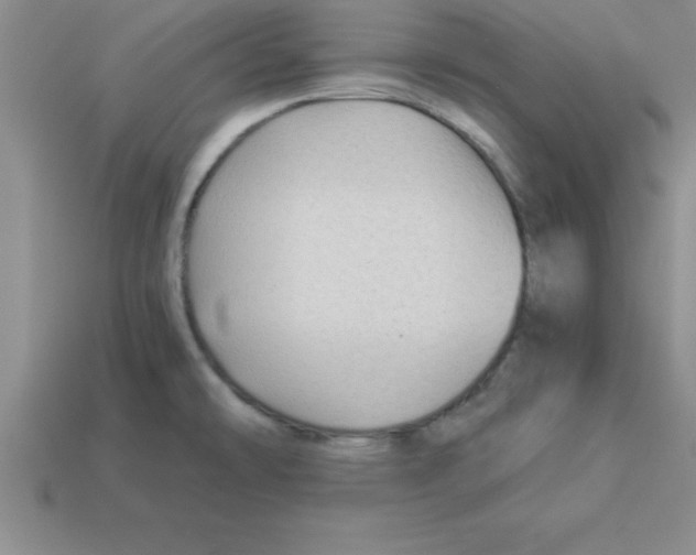 X0000112881478200910021343