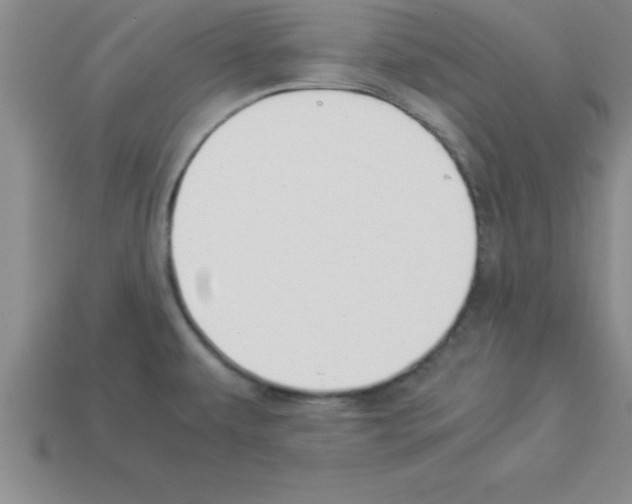 X0000112881479200910021343