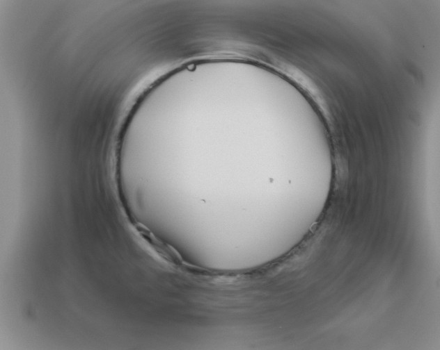 X0000112881480200910021343