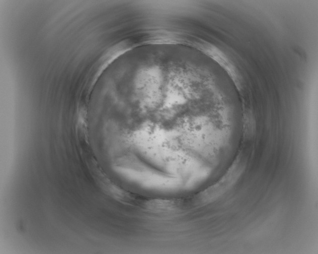 X0000112881481200910021343