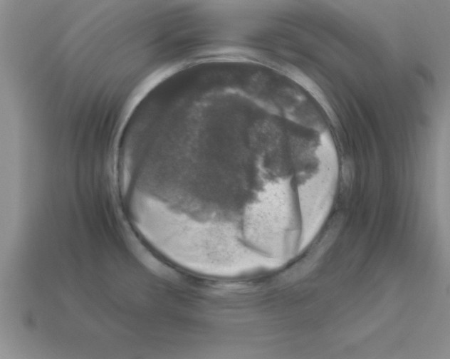 X0000112881482200910021343