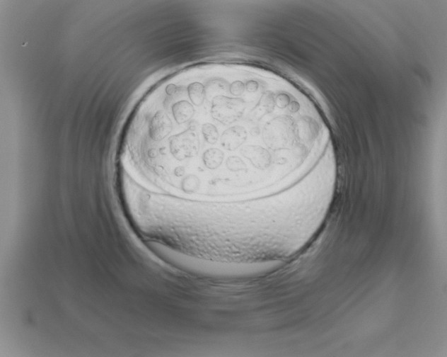 X0000112881483200910021343