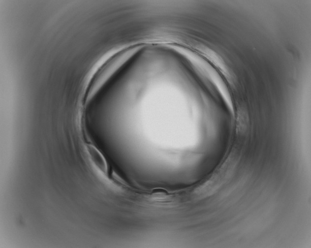 X0000112881484200910021343