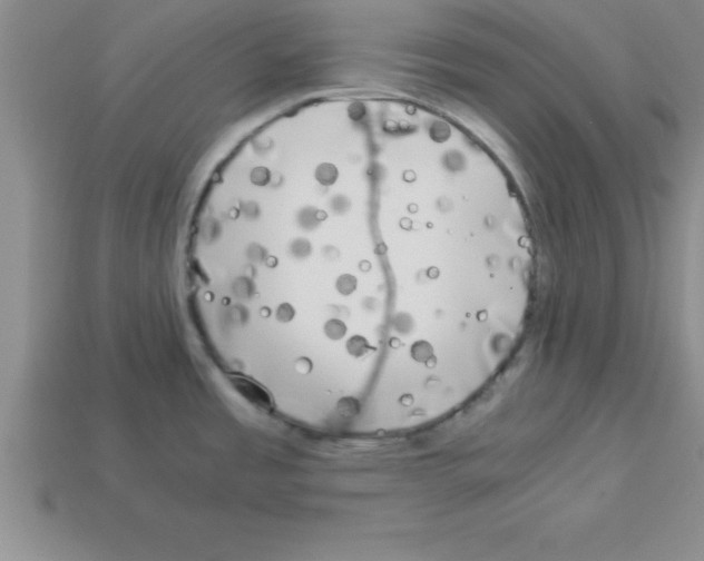 X0000112881485200910021343