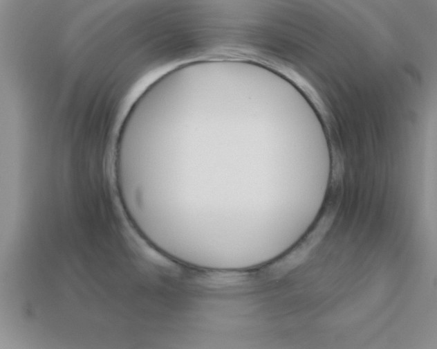 X0000112881486200910021343