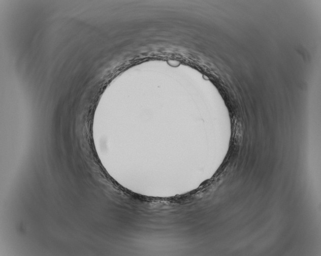 X0000112881489200910021342