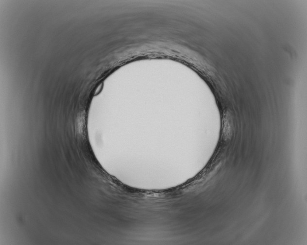 X0000112881490200910021342