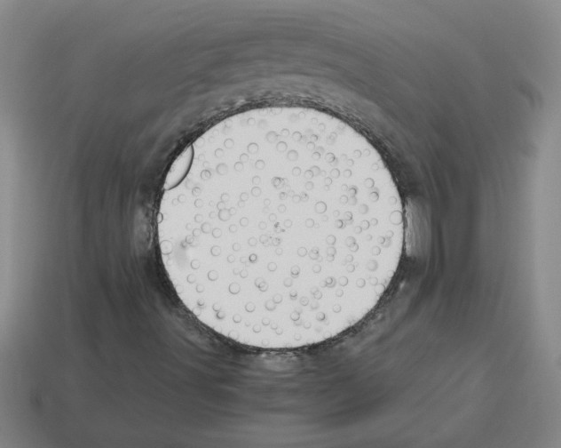 X0000112881491200910021342