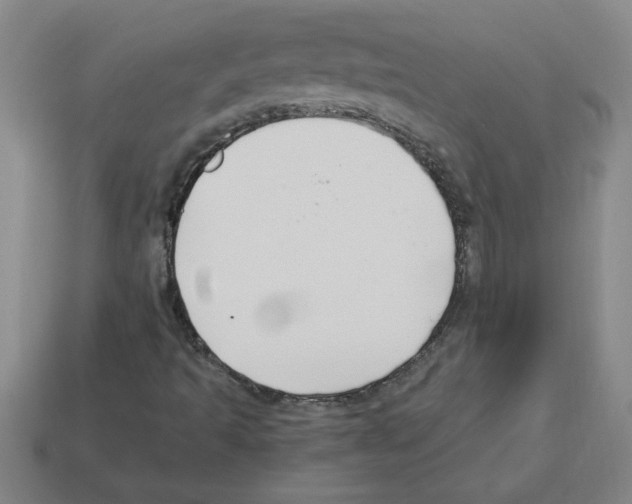 X0000112881493200910021342