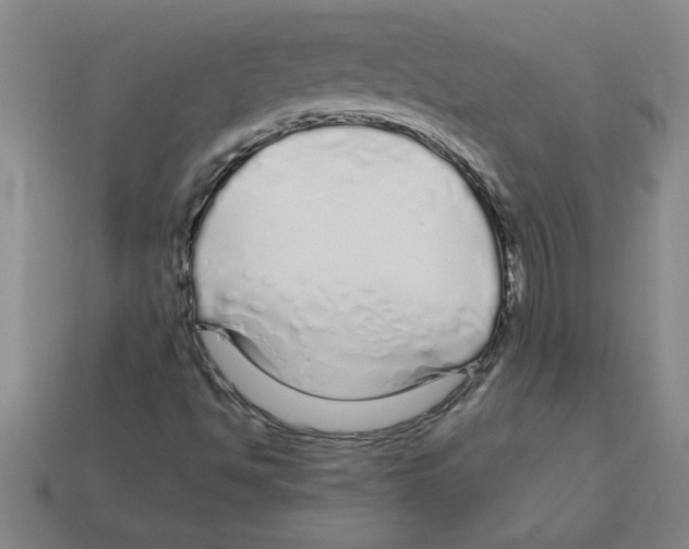 X0000112881494200910021342