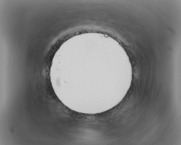 X0000112881495200910021342