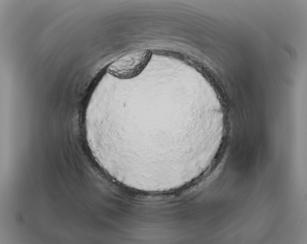 X0000112881497200910021342