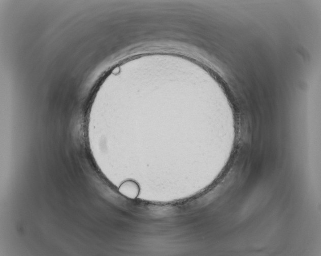 X0000112881498200910021342