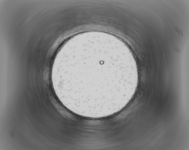 X0000112881499200910021342