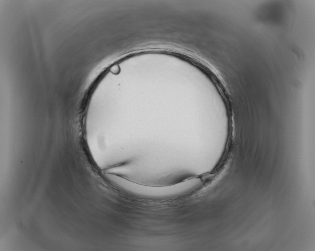 X0000112881501200910021342