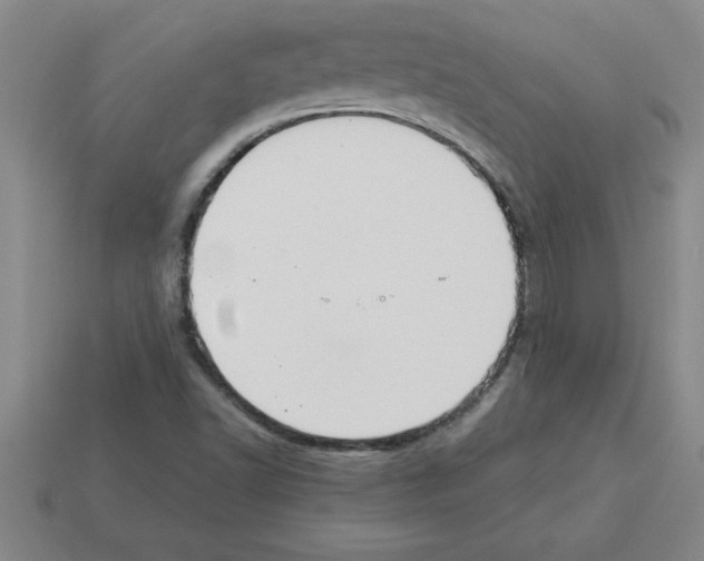 X0000112881502200910021343