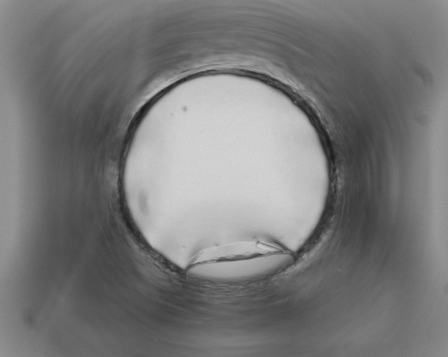 X0000112881505200910021343