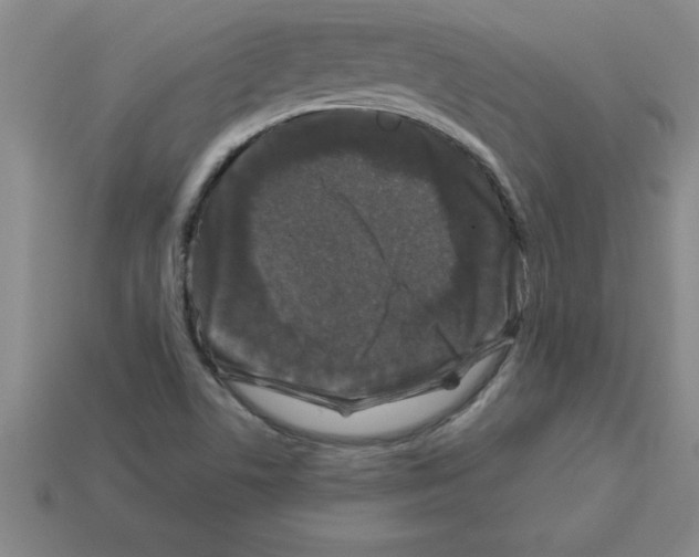 X0000112881506200910021343