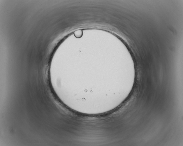 X0000112881507200910021343