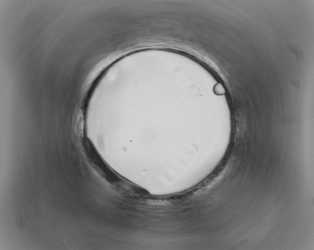 X0000112881509200910021343