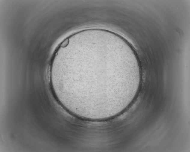 X0000112881510200910021343