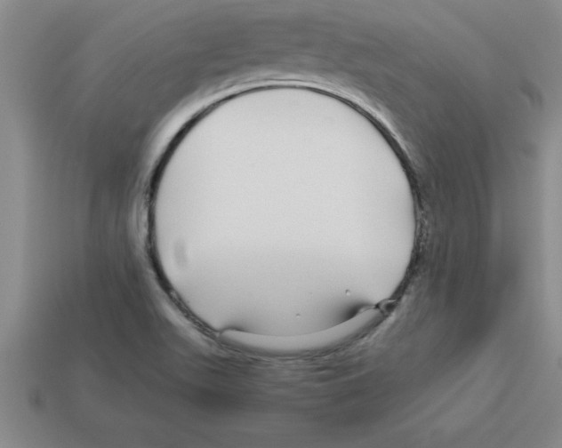 X0000112881511200910021343