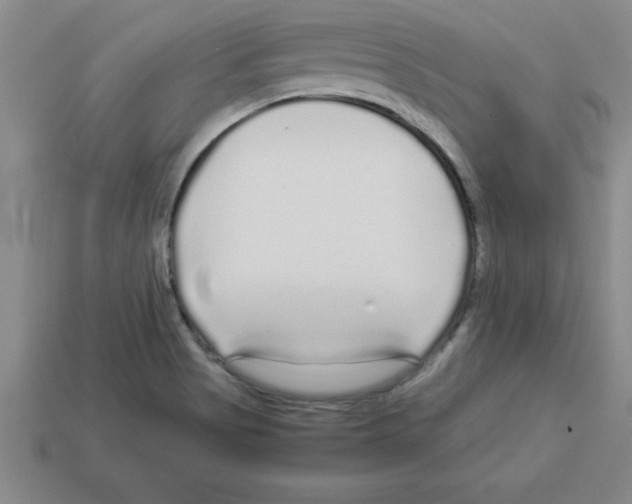 X0000112881513200910021343