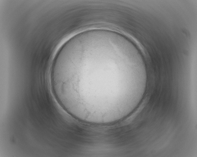 X0000112881514200910021343