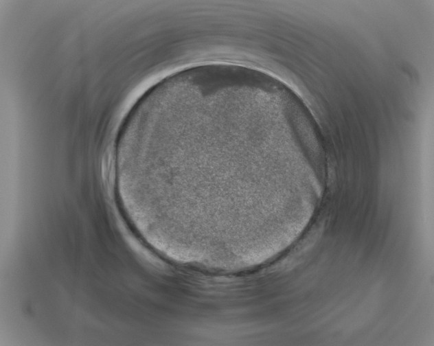 X0000112881515200910021343