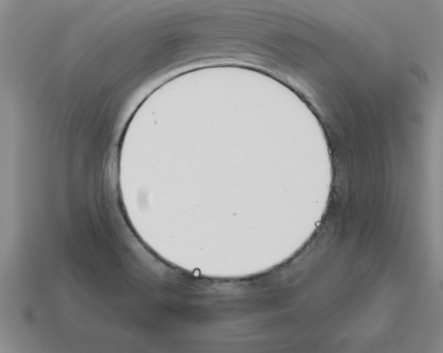 X0000112881516200910021343